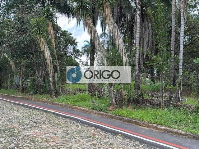#OI081169 - Área para Venda em Esmeraldas - MG - 3