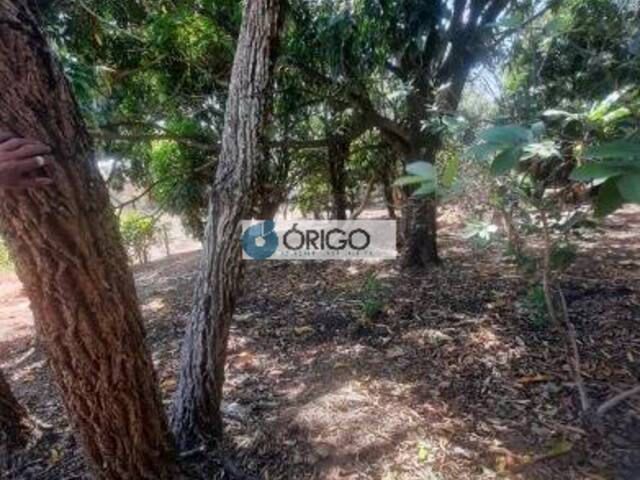 Área para Venda em Esmeraldas - 4