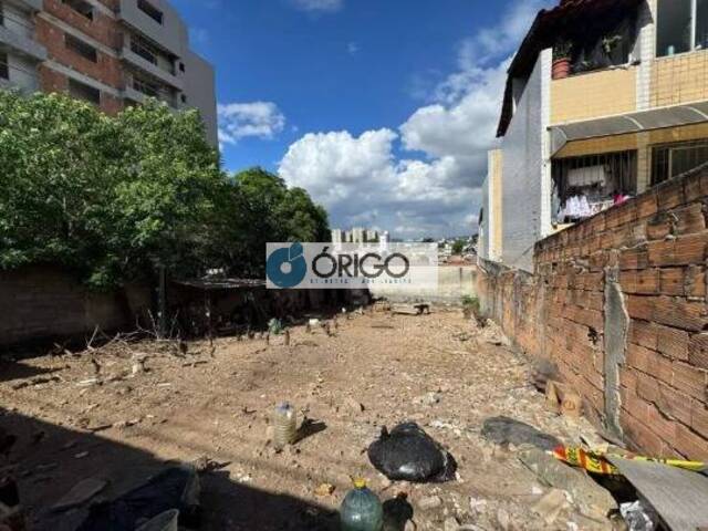 #OI081172 - Área para Venda em Contagem - MG - 3